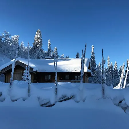Spacious On Nesfjellet, Nesbyen